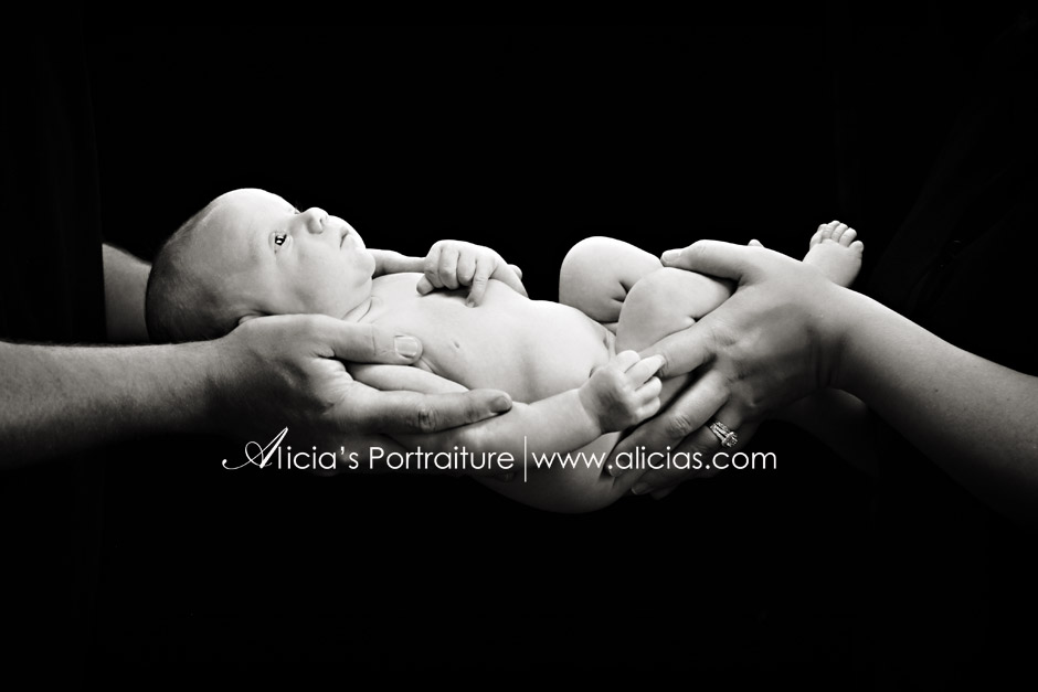 Wheaton Newborn Photographer