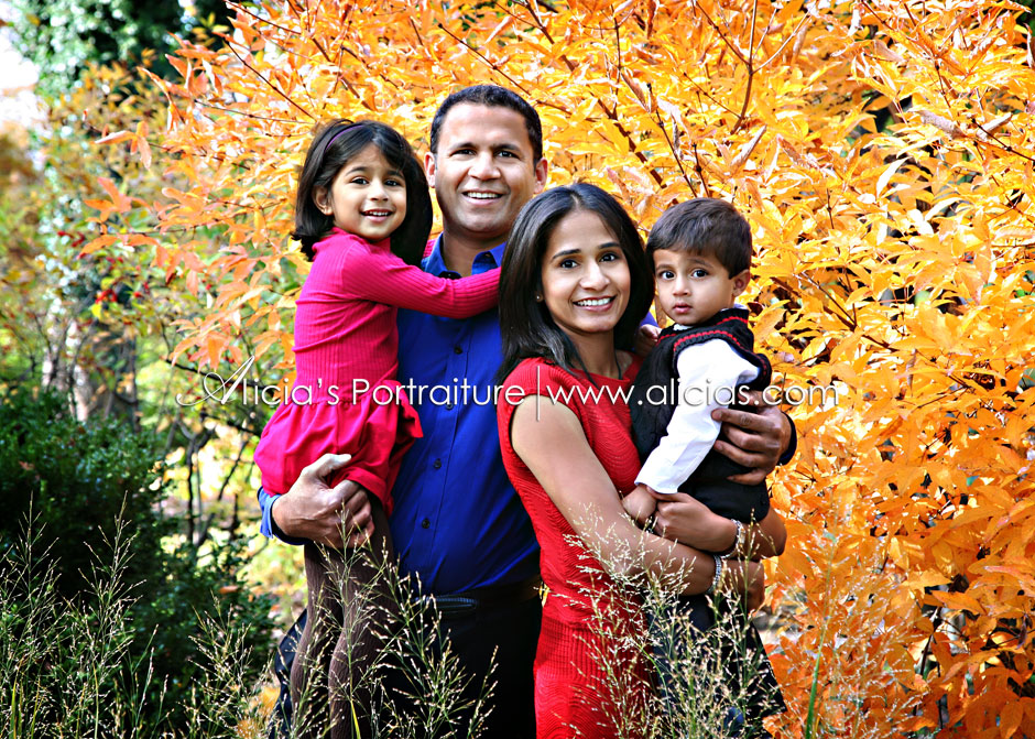 Naperville Chicago Family Photographer...Fall Day