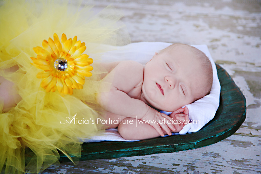 Aurora Chicago Newborn Photographer...Sweet Little "B"