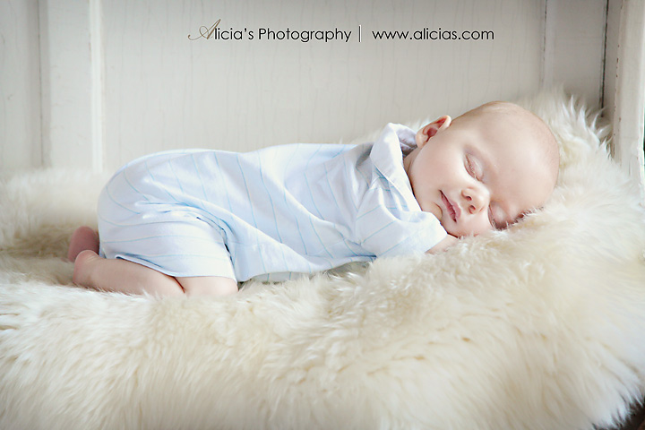 Hinsdale Chicago Newborn Photographer...Will and Charlie