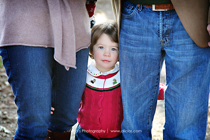 Naperville Chicago Family Photographer...The "P" Family