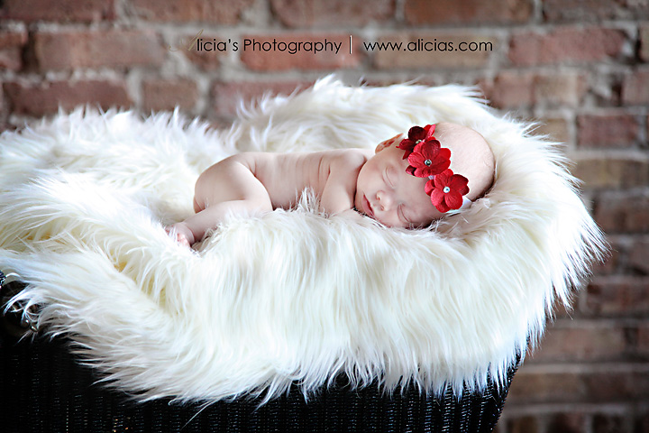 Naperville Chicago Newborn Photographer...Teeny Tiny