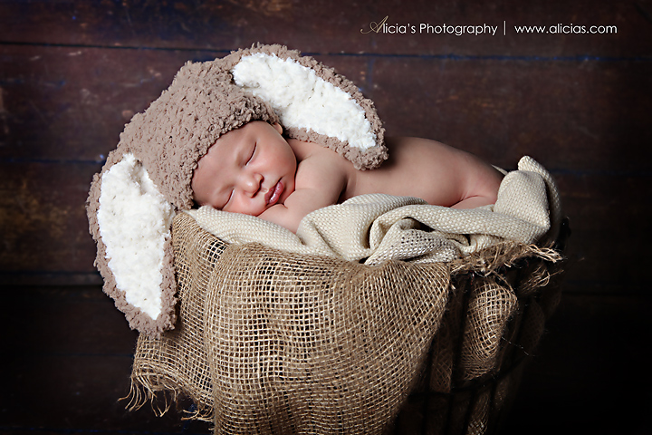 Chicago Naperville Newborn Photographer...Sweet Little "A"