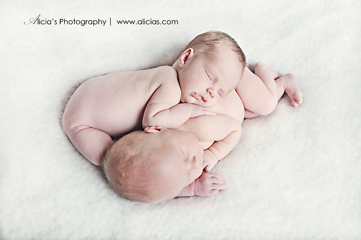 Naperville Chicago Twin Newborn Photographer...The "D" Twins