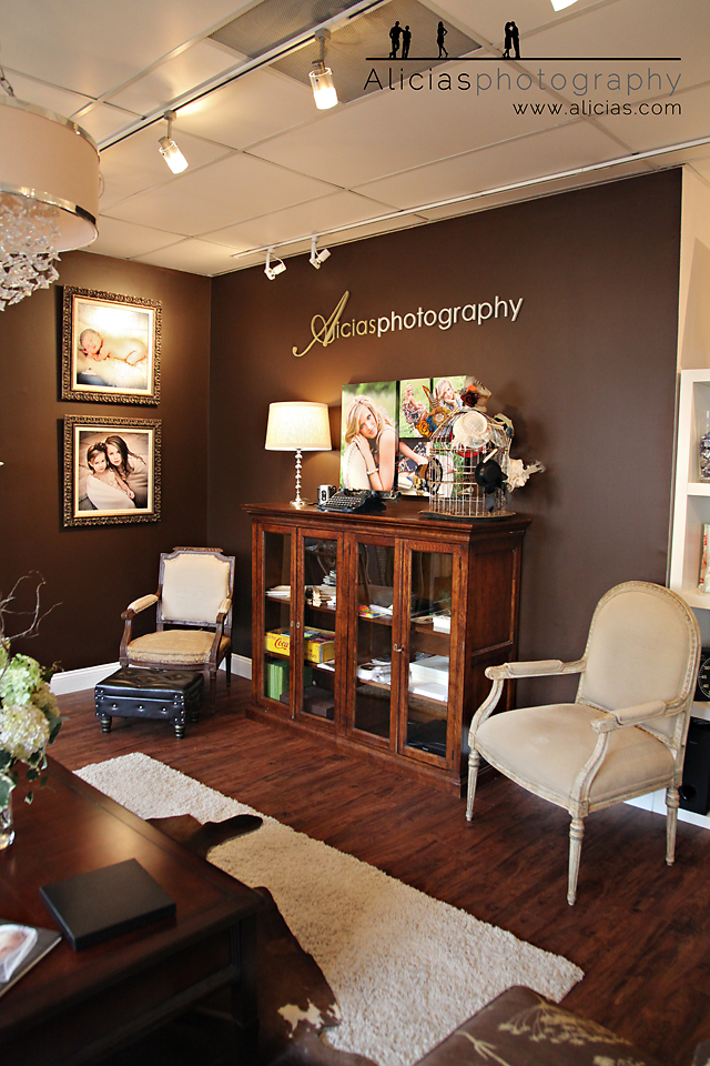 Naperville Chicago Professional Photographer...We've Moved! See Our New Studio