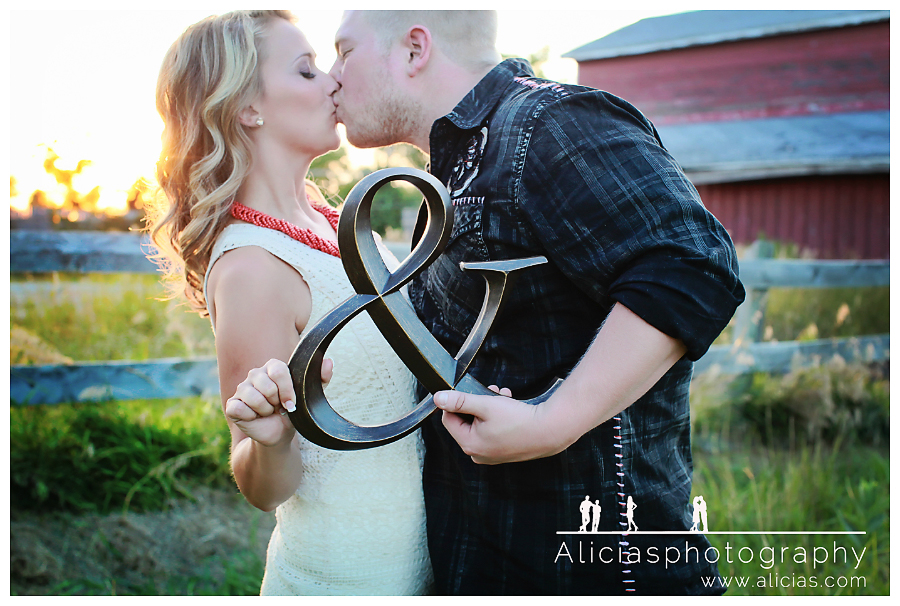 Chicago Western Suburbs Professional Engagement Photographer...Country-Style Engagement Session