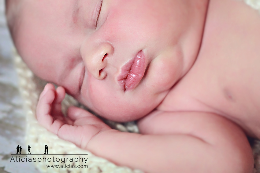 Chicago Hinsdale Newborn Photogapher Alicia's Photography
