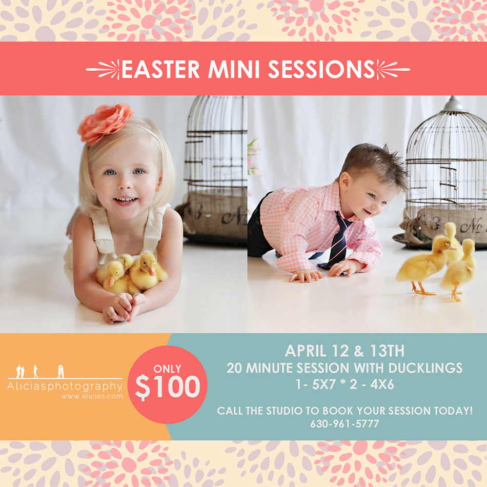 Naperville Chicago Children's Photographer Easter Sessions Ducklings