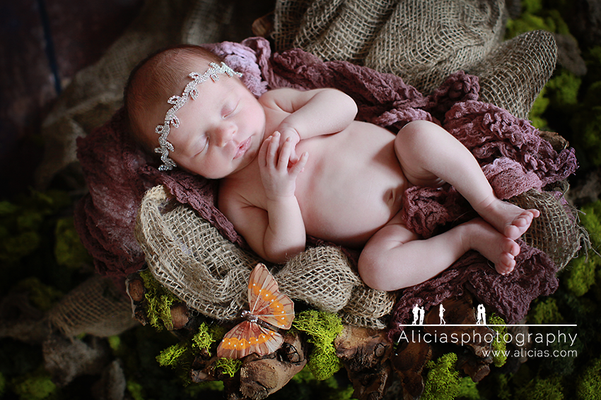 Chicago Naperville Newborn Photographer...Alicia's Photography