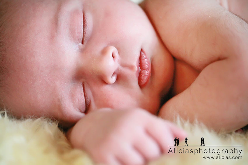 Naperville Chicago Newborn Photographer...Alicia's Photograhy