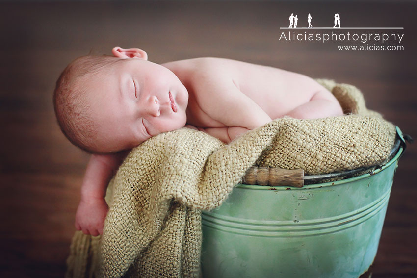 Naperville Chicago Newborn Photographer...Alicia's Photograhy