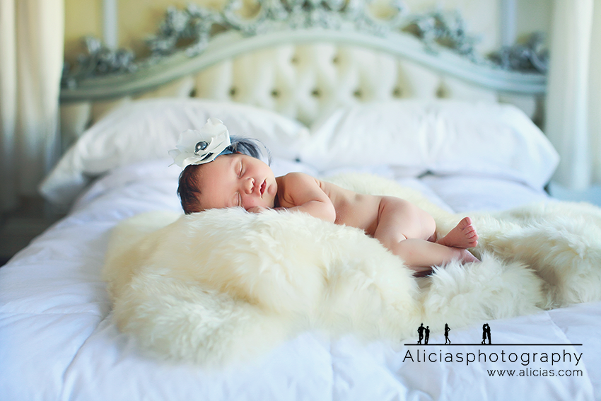 Naperille Chicago Newborn Photographer...Alicia's Photography Princess