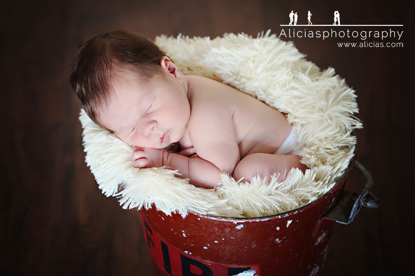 Chicago Newborn Photographer...Alicia's Photography