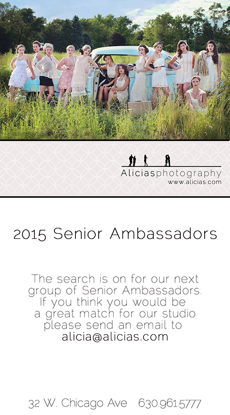 Chicago Naperville Senior Photographer...2015 Senior Ambassador Search