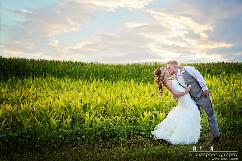 Naperville Chicago Wedding Photographer...Love at Emerson Creek