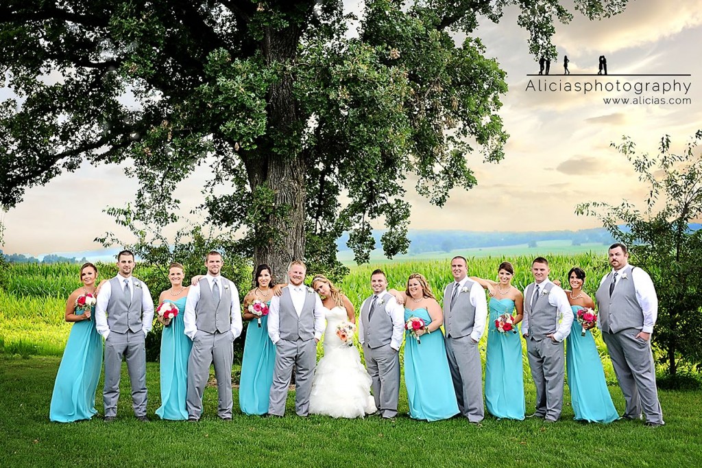 Naperville Chicago Wedding Photographer...Love at Emerson Creek