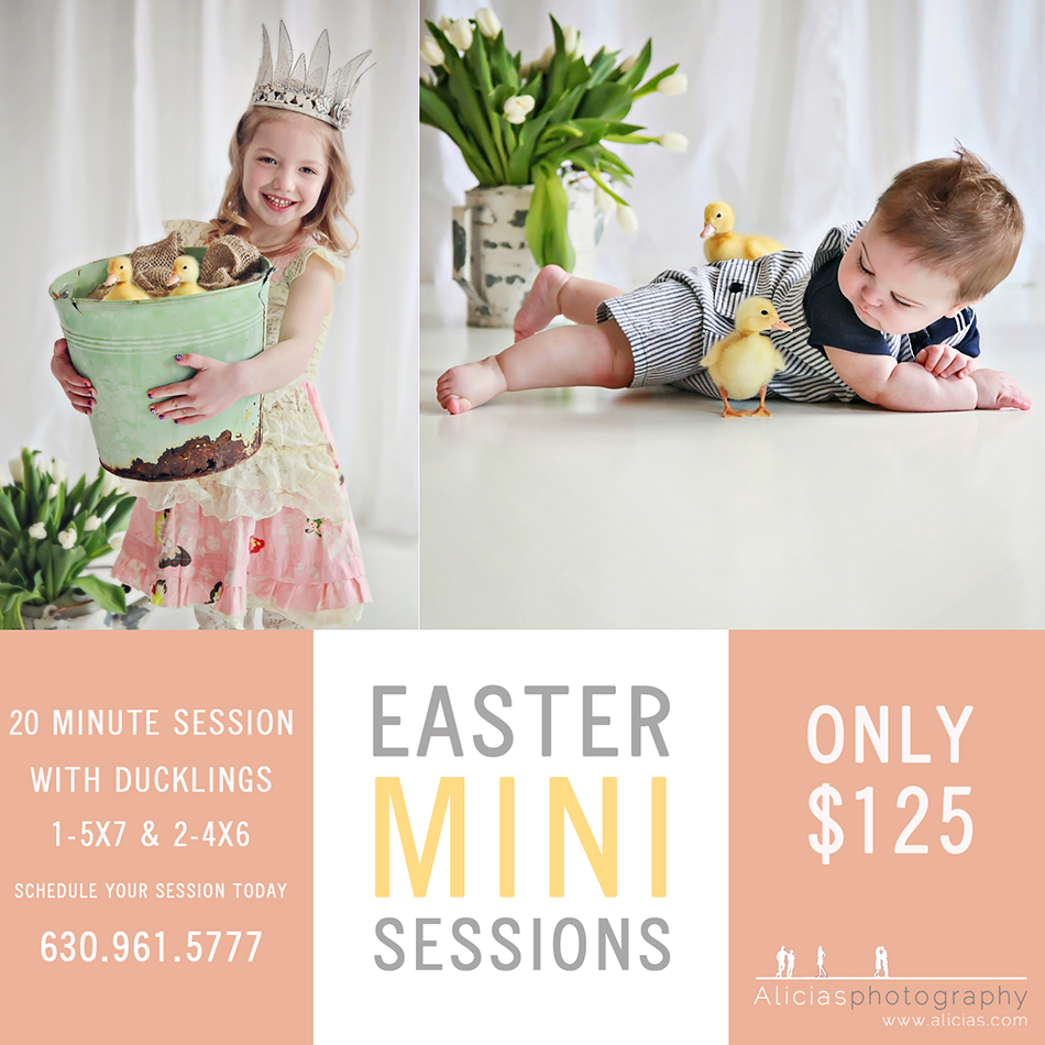 Chicago Naperville Children's Photographer | Easter Duckling Sessions